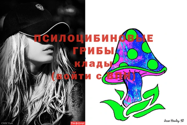 стафф Беломорск
