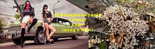 стафф Беломорск
