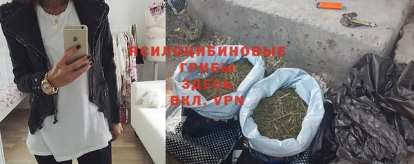 эйфоретик Белокуриха
