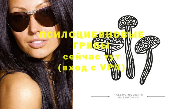 стафф Беломорск